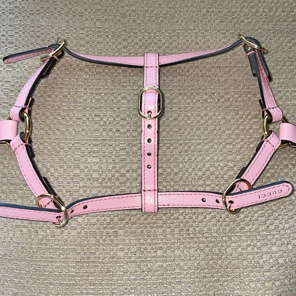 New Gucci dog leash/harness